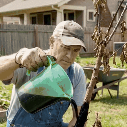 Plant Regrow fertilizzante rigenerante